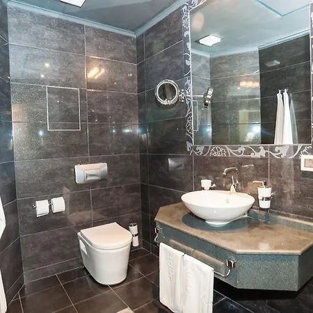 首都中心住宅公寓 *